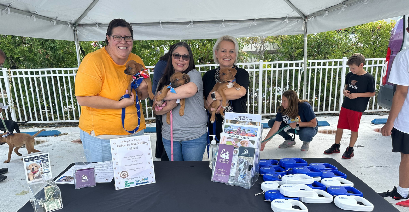 Dog Adoption Event
