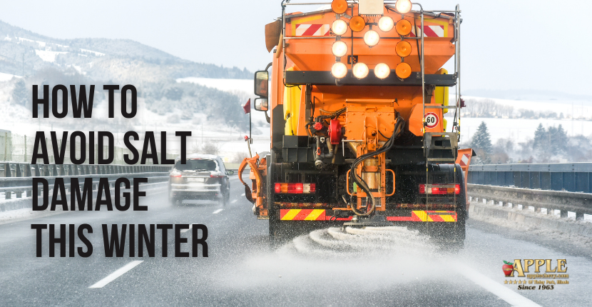 How to Avoid Salt Damage this Winter