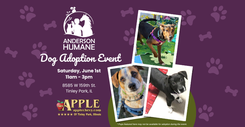 Find Your Furry Friend: Join Us for a Dog Adoption Event at Apple Chevy!