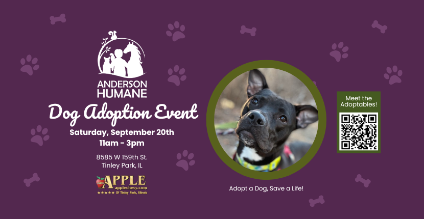 Join Us for Our Dog Adoption Event with Anderson Humane at Apple Chevrolet!